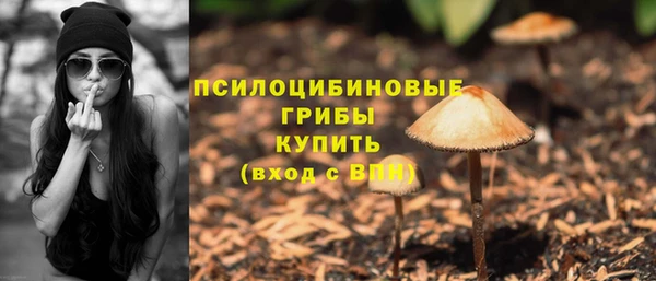 герыч Белокуриха