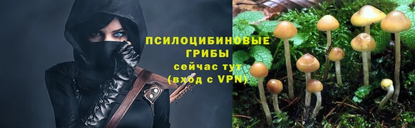 герыч Белокуриха